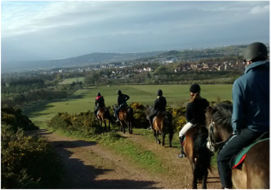 Pentlands - Exmoor Pony Trekking