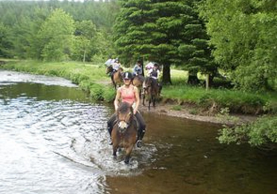 Glendevon - Exmoor Pony Trekking